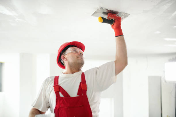 Best Commercial Painting  in Kirksville, MO